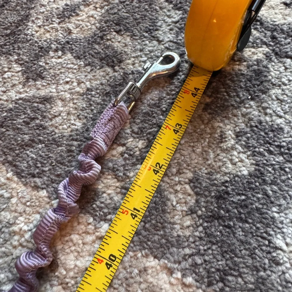 PetSafe Purple Bungee Small Dog Leash